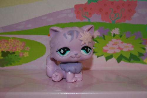 Last One!! Littlest Pet Shop, Purple Persian Cat