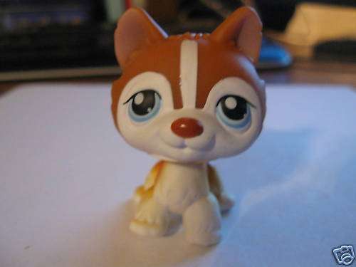 Last one - Littlest pet shop, Husky 341
