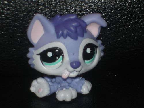 Littlest Pet Shop, Purple Husky puppy 1810