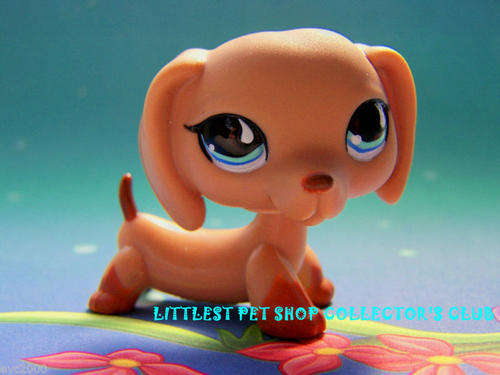 Littlest Pet Shop, Dachshund #518