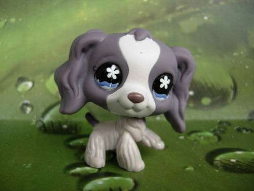 Littlest Pet Shop, Cocker Spaniel #672