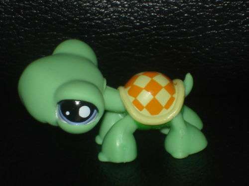 Littlest Pet Shop Turtle #1942