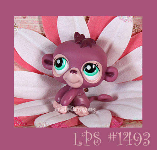 special - Littlest pet shop,  Monkey #1493