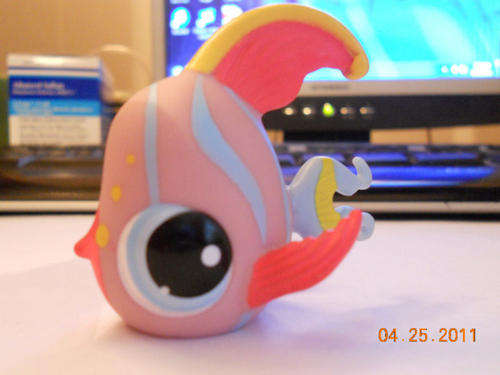 Littlest Pet Shop, Funniest Angelsfish #884