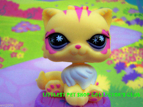 Only One, Littlest Pet Shop, Cat - Persian Cat #878