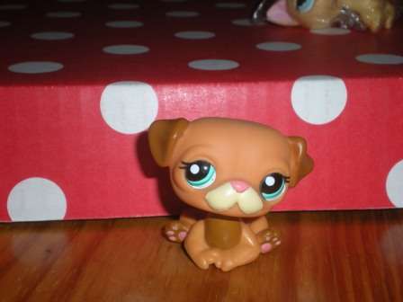 Littlest Pet Shop, Brown Schnauzer