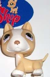 Littlest Pet Shop, Dog - Bull Terrier 860
