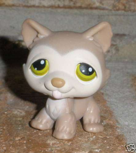 Littlest Pet Shop, Husky #358