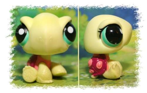 Littlest Pet Shop Turtle #1597