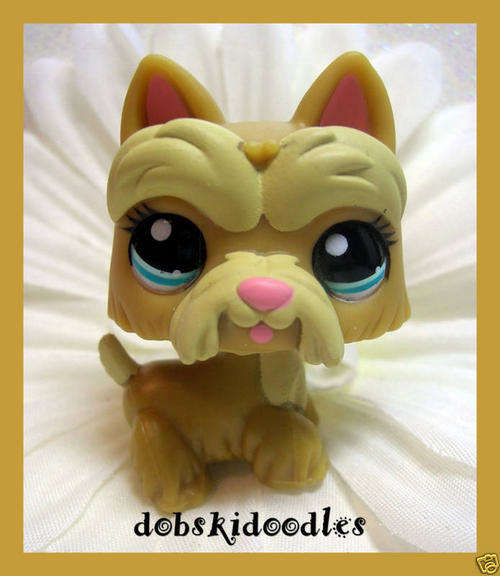 LAST One - Littlest pet shop, Scottie #1260