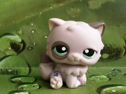 Littlest Pet Shop, Persian Cat 1027