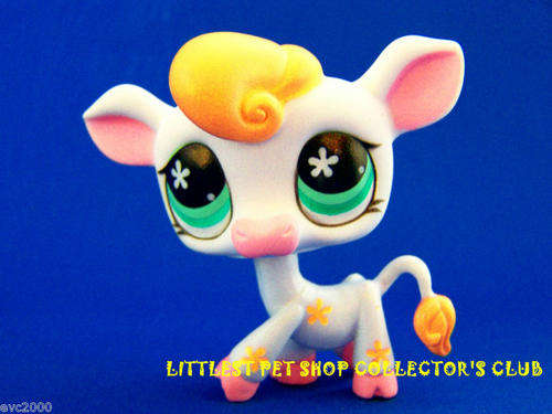 Littlest Pet Shop, Cow 877