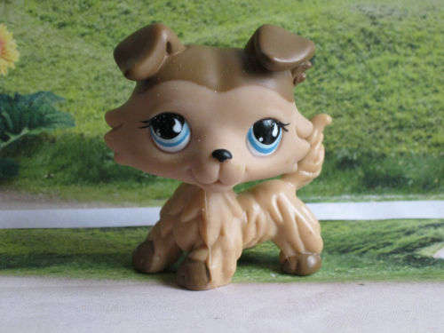 Littlest Pet Shop, Dog -  Collie #893