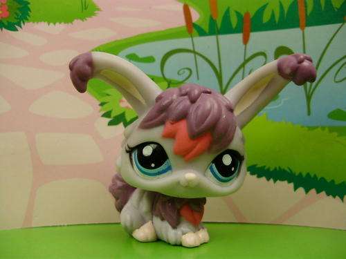 Rare, Littlest Pet Shop, Bunny / Rabbit- Angora bunny  1815