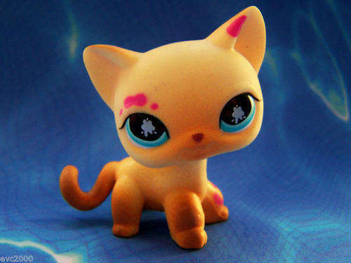 Littlest pet shop, Cat Painting Cat #815