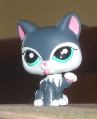 Last One - Littlest pet shop, Cat - Grey blue Eyes 2204