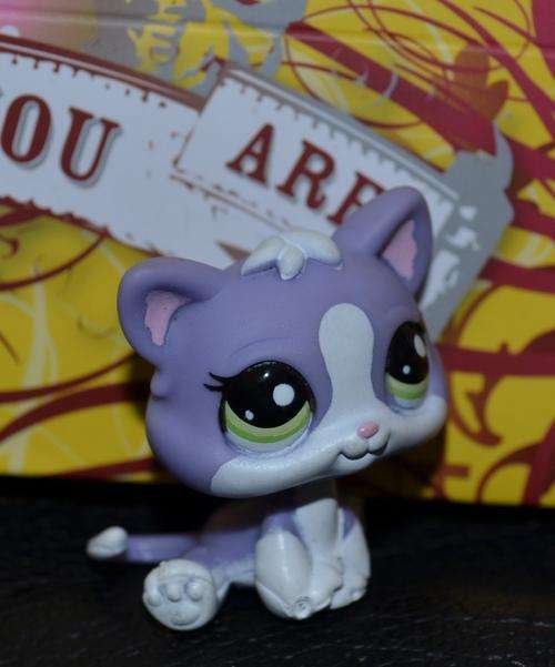 Littlest pet shop, Cat - Kitten Purple