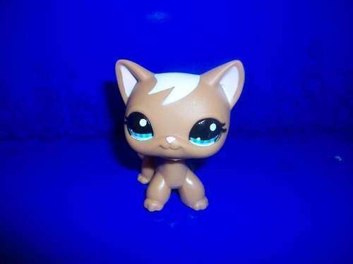 Littlest pet shop, Cat - Brown Cat 1170