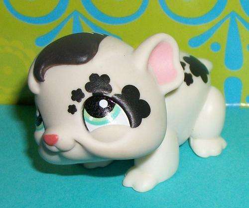 Littlest Pet Shop,  Guinea Pig # 1394 - painted