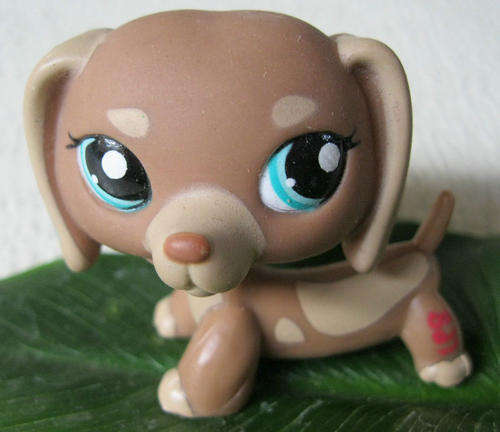 Littlest Pet Shop, Dachshund #1751