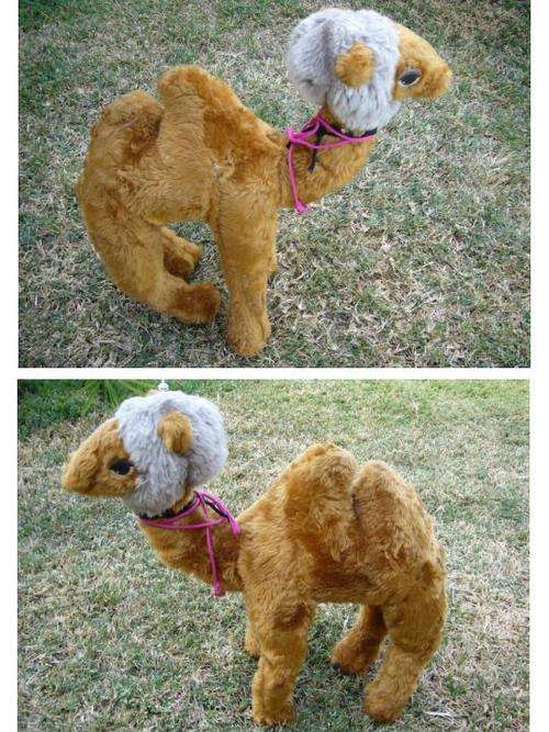 CAMEL / DROMEDARE COLLECTORS ITEM