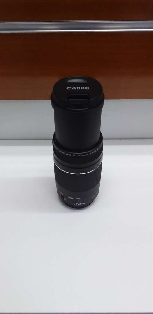 Canon 75-300mm Zoom lens