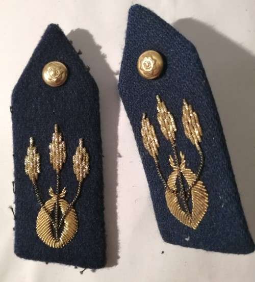 SAP Gorget Patches set