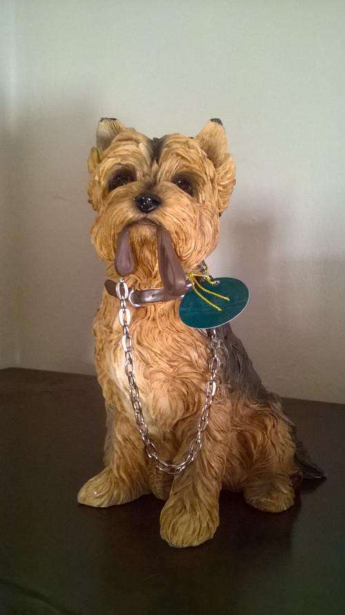 Dog Studios by Leon Ardo "Yorkshire Terrier"