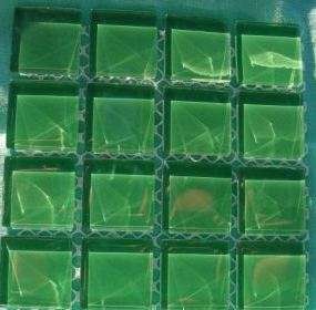 Crafty Stuff:  Mosaic Crystal Glass Tiles: Forest Green