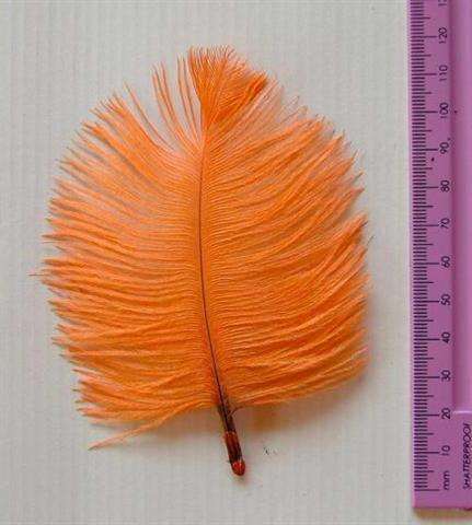Crafty Stuff: Ostrich Feathers : 10 Orange