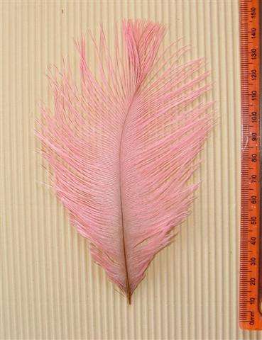 Crafty Stuff: Ostrich Feathers : 10 Lite pink
