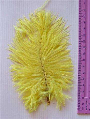 Crafty Stuff: Ostrich Feathers : 10 yellow