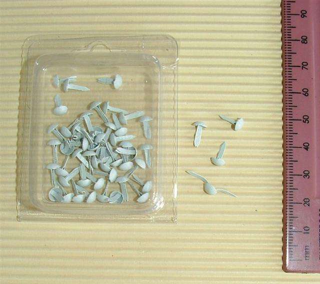 Crafty Stuff:  Small white brads 50