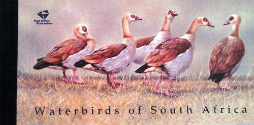 Souvenir booklet series no.2 - South African waterbirds - 1997 STAMPS BOOKLET