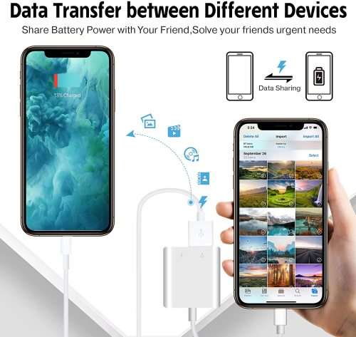 Lightnings To USB OTG Adapter