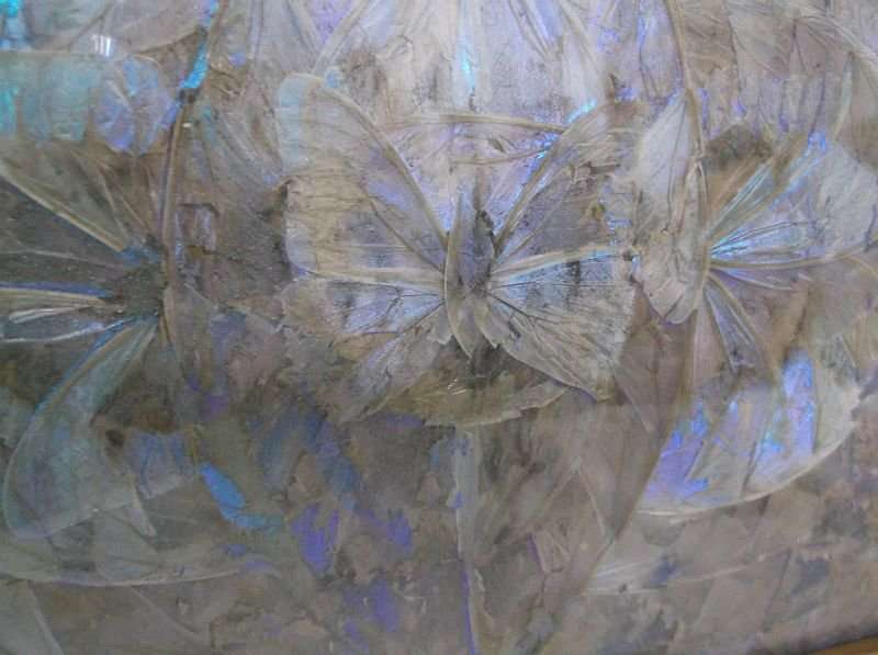WOW !! A BREATHTAKINGLY BEAUTIFUL ART DECO TRAY ( WALL MOUNTED ) FILLED WITH GENUINE BUTTERFLY WINGS