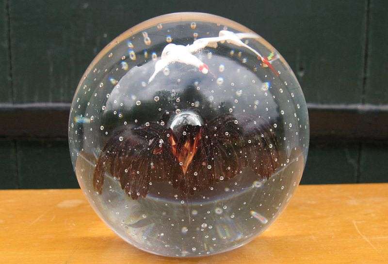 A M A Z I N G !!! A VINTAGE SOLID GLASS PAPERWEIGHT WITH FLOWER AND BIRD DETAIL ...INTERNAL BUBBLES