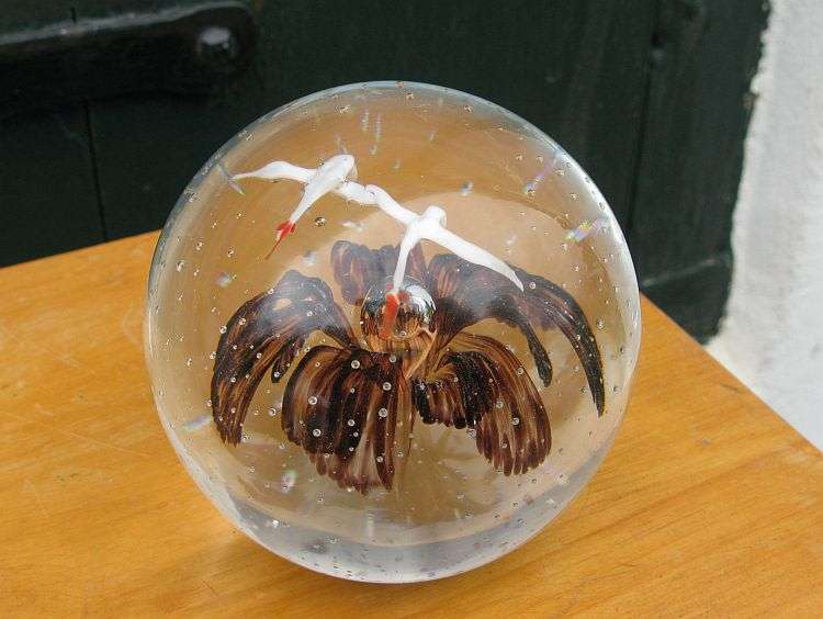 A M A Z I N G !!! A VINTAGE SOLID GLASS PAPERWEIGHT WITH FLOWER AND BIRD DETAIL ...INTERNAL BUBBLES