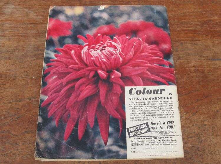 ROYAL AIR FORCE  - NOVEMBER 1960 FLYING REVIEW - RARE FIND !!