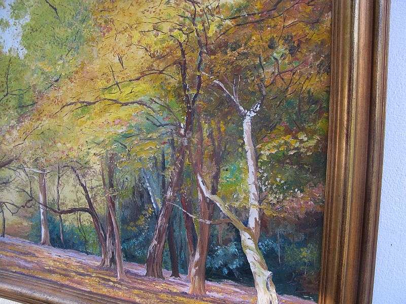 A BEAUTIFUL LARGE ORIGINAL OIL ON BOARD BY SA ARTIST VINCENT OLIVIER OF A FORREST SCENE ...WOW !!!