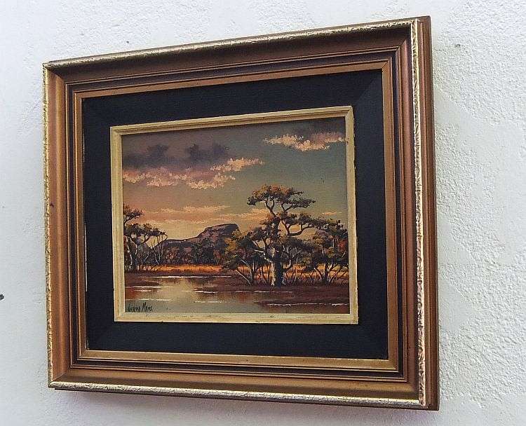 A MAGNIFICENT VINTAGE ORIGINAL OIL ON BOARD DEPICTING A NAMIBIAN LANDSCAPE BY GERDA MANS !! WOW !!
