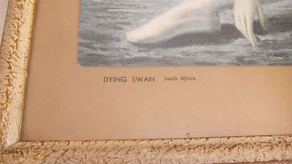 A vintage print by well known artist Vladimir Tretchikoff - The dying swan