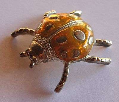 VINTAGE BROOCH - BUG
