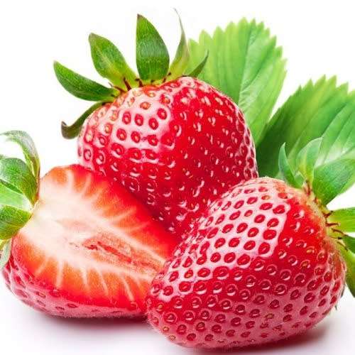 Strawberry - Fragaria x ananassa '' - Strawberry Seeds