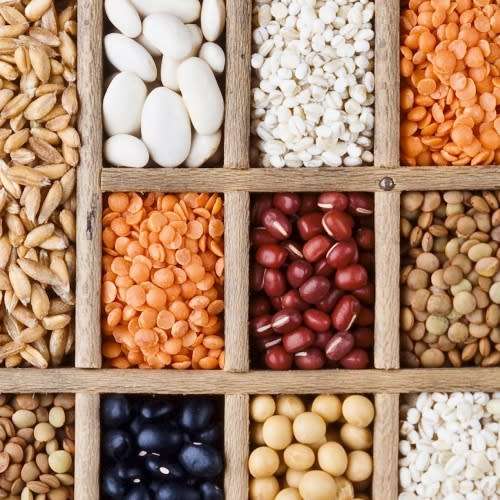 Promotion - Mix And Match Any Seeds