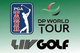 #12 X C GRADE GOLF BALLS + 1 X NEW Srixon Soft FEEL