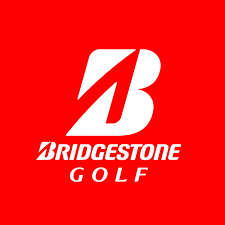 15 X AAAAA + Golf Balls +10 X TEES + 1 X TITLEIST TOUR SPEED(PEARL)