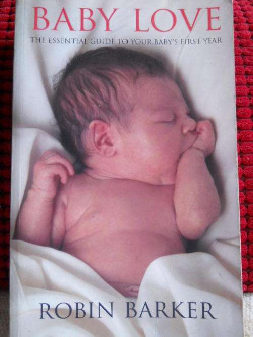 Baby Love - baby's first year - Robyn Barker