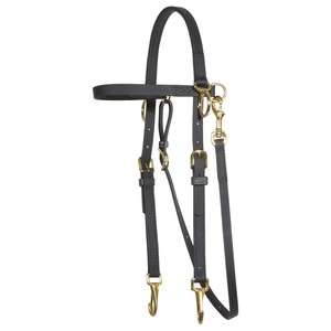 Training Bridle