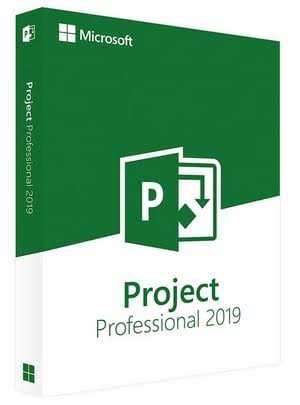 Microsoft Projects 2019 Professional